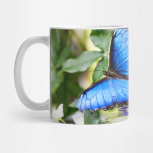 Schmetterling Morphofalter / Swiss Artwork Photography Mug